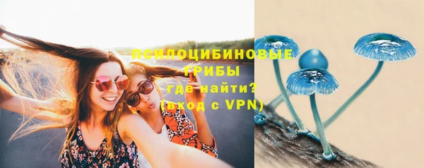 мдпв Елизово