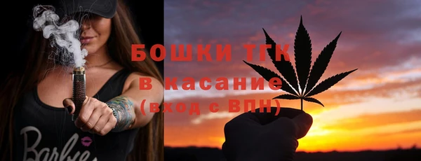 бошки Заводоуковск