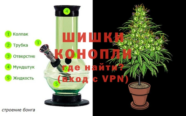мдпв Елизово