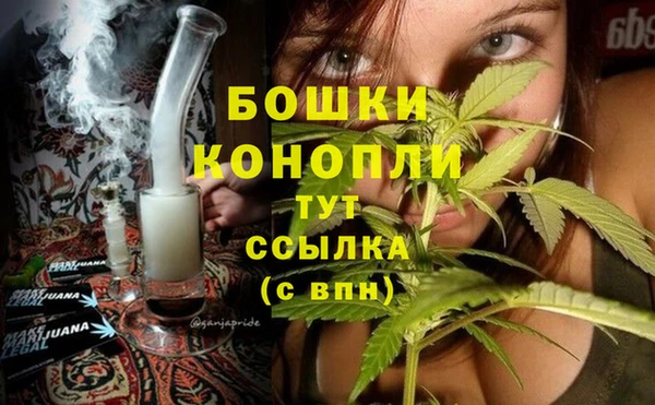 mdpv Заволжск
